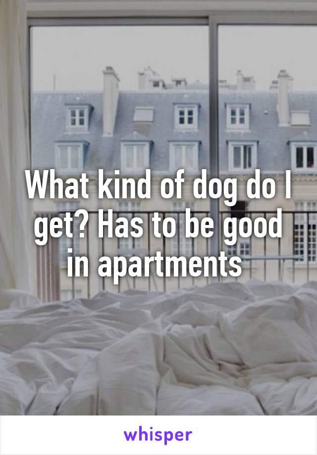 What kind of dog do I get? Has to be good in apartments 