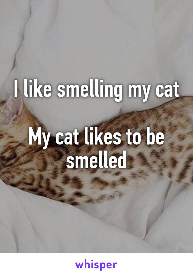 I like smelling my cat

My cat likes to be smelled
