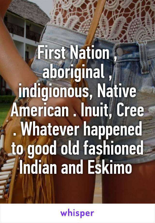 First Nation , aboriginal , indigionous, Native American . Inuit, Cree . Whatever happened to good old fashioned Indian and Eskimo 