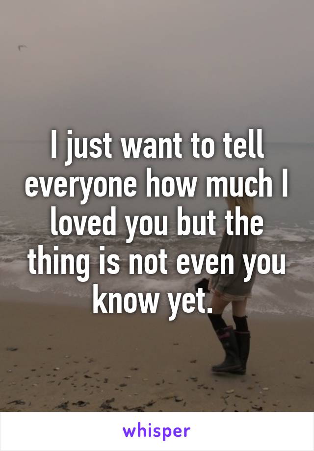 I just want to tell everyone how much I loved you but the thing is not even you know yet. 