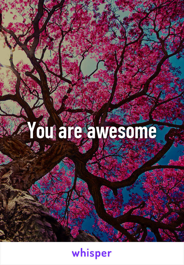 You are awesome