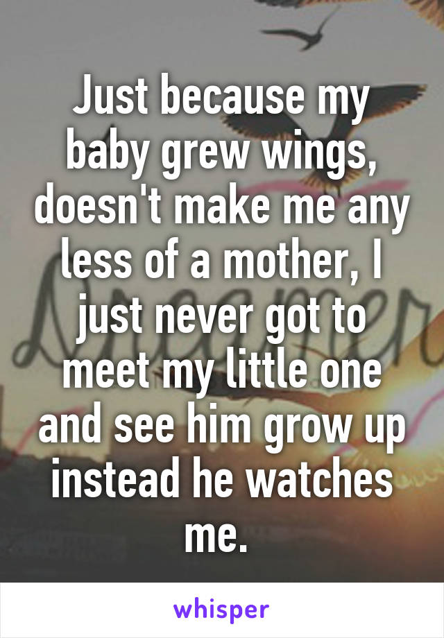 Just because my baby grew wings, doesn't make me any less of a mother, I just never got to meet my little one and see him grow up instead he watches me. 