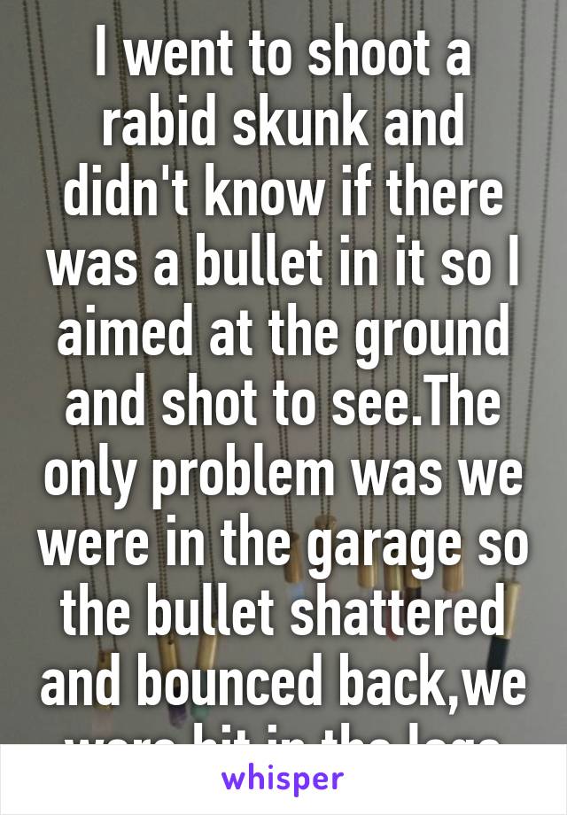 I went to shoot a rabid skunk and didn't know if there was a bullet in it so I aimed at the ground and shot to see.The only problem was we were in the garage so the bullet shattered and bounced back,we were hit in the legs