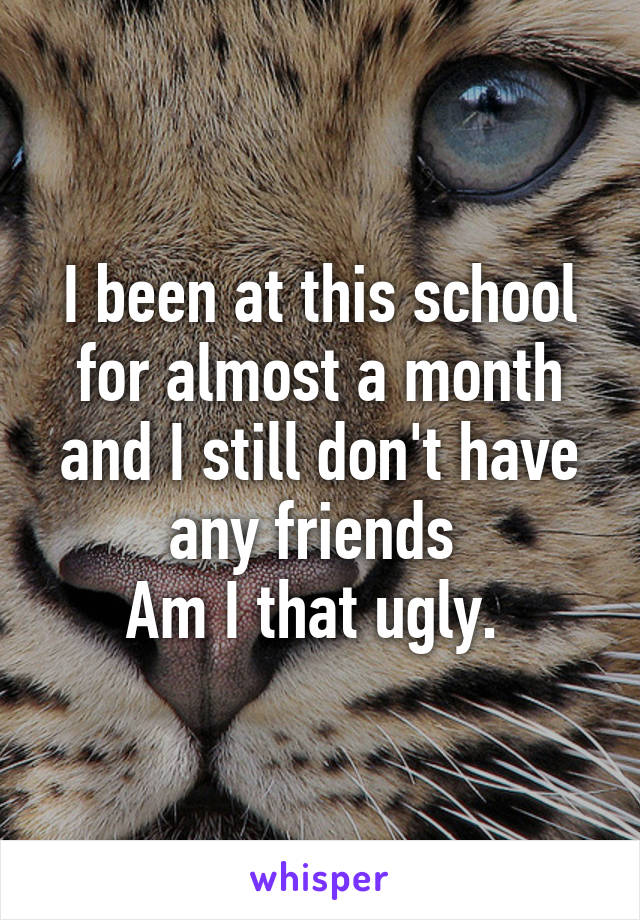 I been at this school for almost a month and I still don't have any friends 
Am I that ugly. 