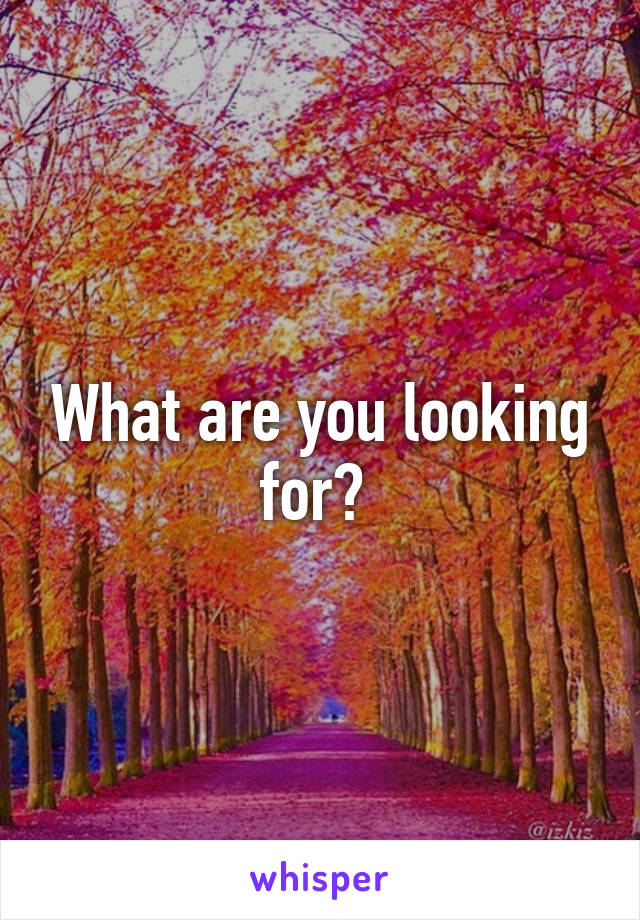 What are you looking for? 