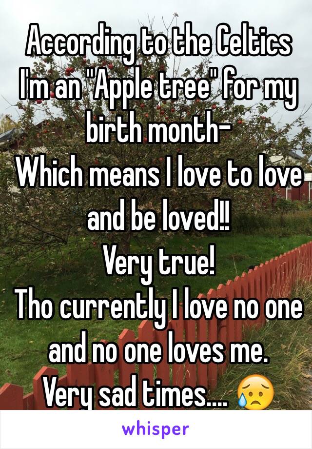 According to the Celtics I'm an "Apple tree" for my birth month-
Which means I love to love and be loved!! 
Very true!
Tho currently I love no one and no one loves me.
Very sad times.... 😥