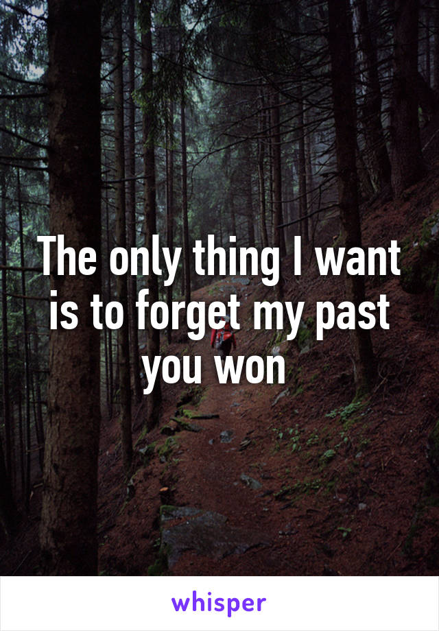 The only thing I want is to forget my past you won 