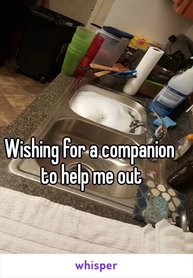 Wishing for a companion to help me out
