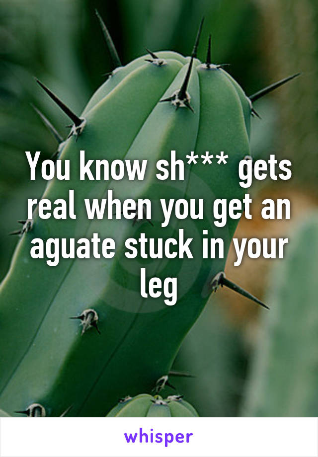 You know sh*** gets real when you get an aguate stuck in your leg