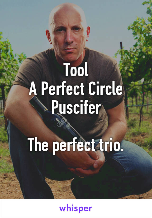 Tool
A Perfect Circle
Puscifer

The perfect trio.