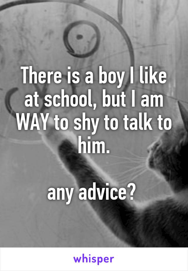 There is a boy I like at school, but I am WAY to shy to talk to him.

any advice? 