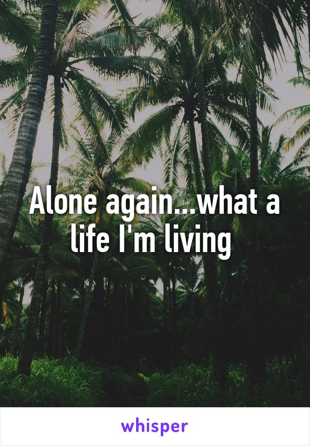 Alone again...what a life I'm living 