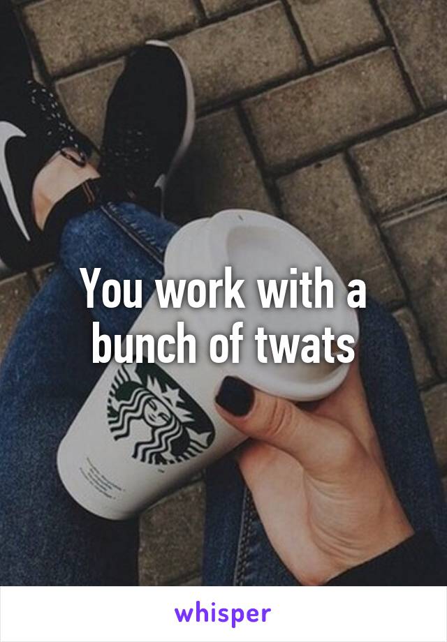 You work with a bunch of twats