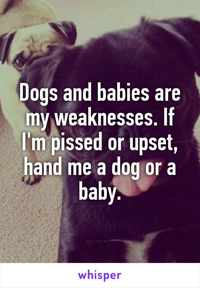 Dogs and babies are my weaknesses. If I'm pissed or upset, hand me a dog or a baby.