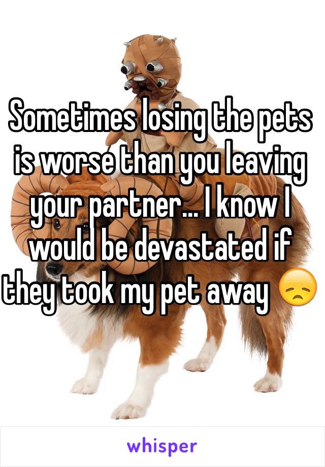 Sometimes losing the pets is worse than you leaving your partner... I know I would be devastated if they took my pet away 😞