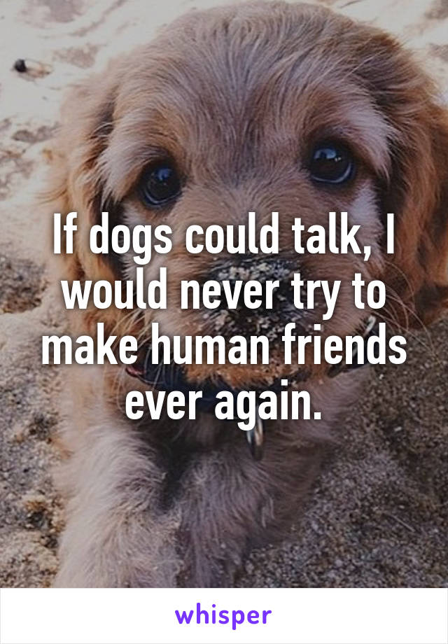 If dogs could talk, I would never try to make human friends ever again.
