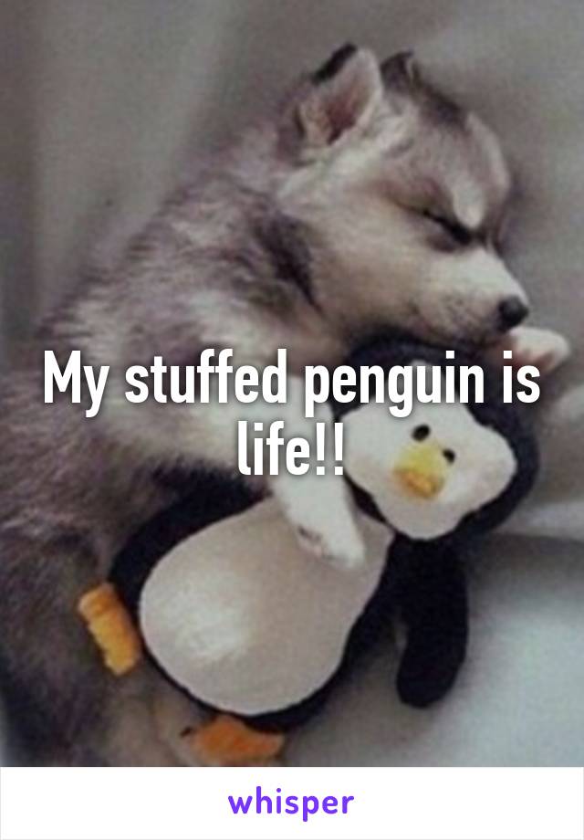 My stuffed penguin is life!!