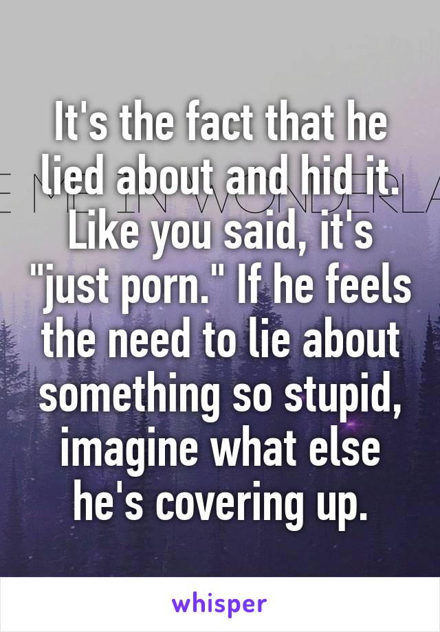 It's the fact that he lied about and hid it. Like you said, it's "just porn." If he feels the need to lie about something so stupid, imagine what else he's covering up.