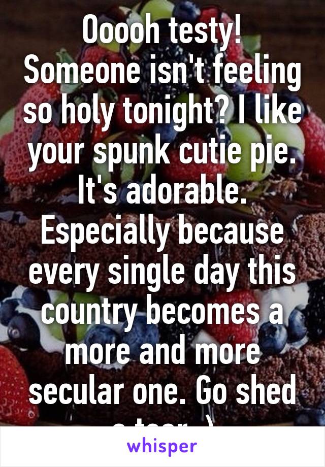 Ooooh testy! Someone isn't feeling so holy tonight? I like your spunk cutie pie. It's adorable. Especially because every single day this country becomes a more and more secular one. Go shed a tear :)