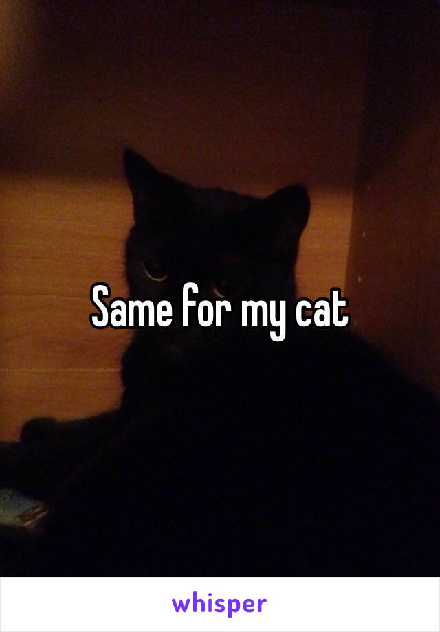 Same for my cat 