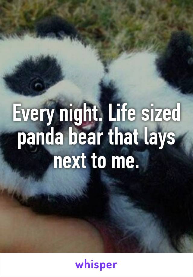 Every night. Life sized panda bear that lays next to me.