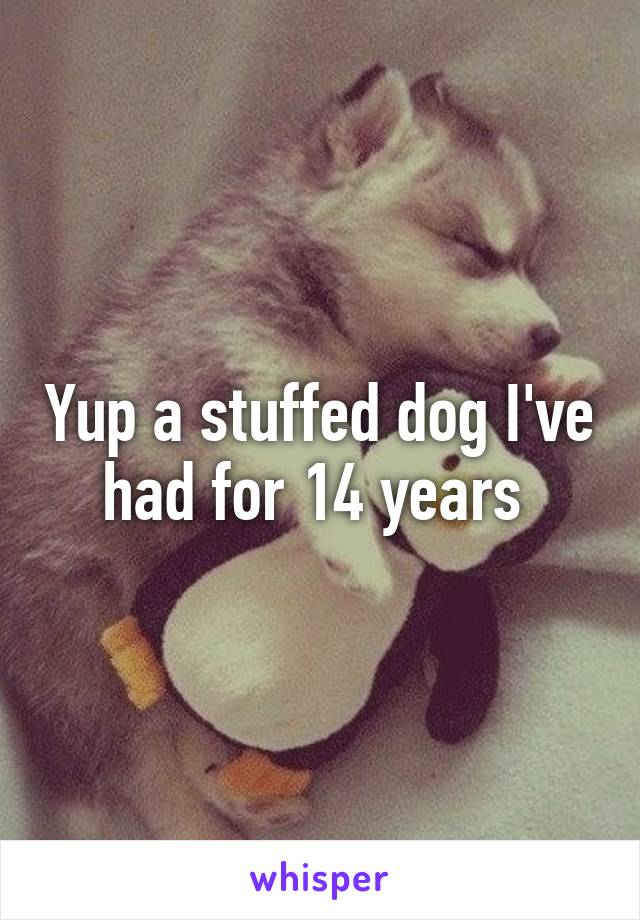 Yup a stuffed dog I've had for 14 years 