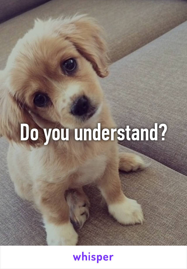 Do you understand?