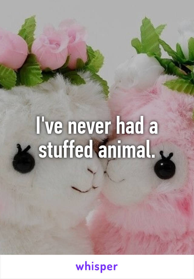 I've never had a stuffed animal.