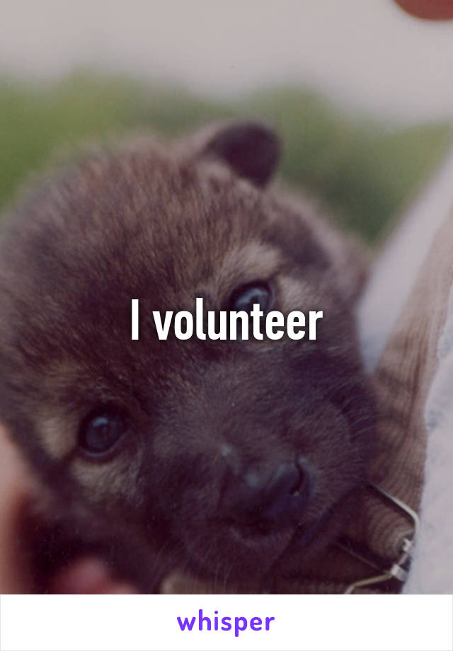 I volunteer