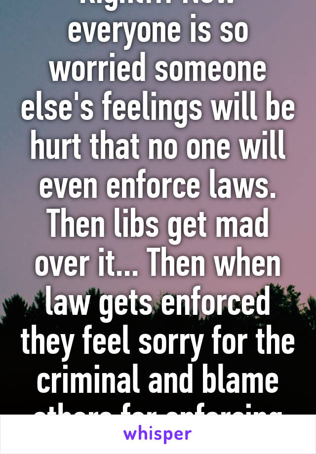 Right!!! Now everyone is so worried someone else's feelings will be hurt that no one will even enforce laws. Then libs get mad over it... Then when law gets enforced they feel sorry for the criminal and blame others for enforcing the it..