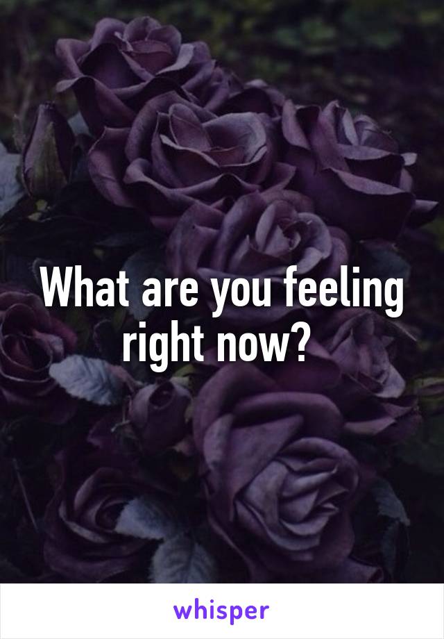 What are you feeling right now? 