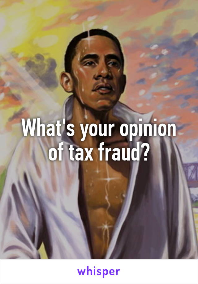 What's your opinion of tax fraud?