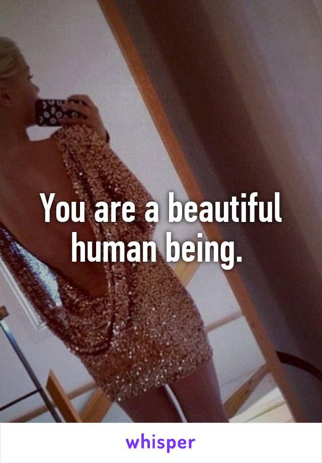 You are a beautiful human being. 