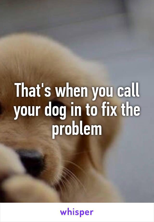 That's when you call your dog in to fix the problem