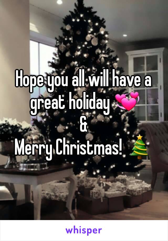 Hope you all will have a great holiday 💞
&
Merry Christmas! 🎄