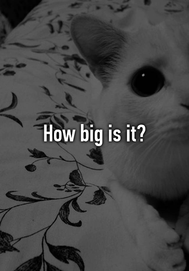 how-big-is-it