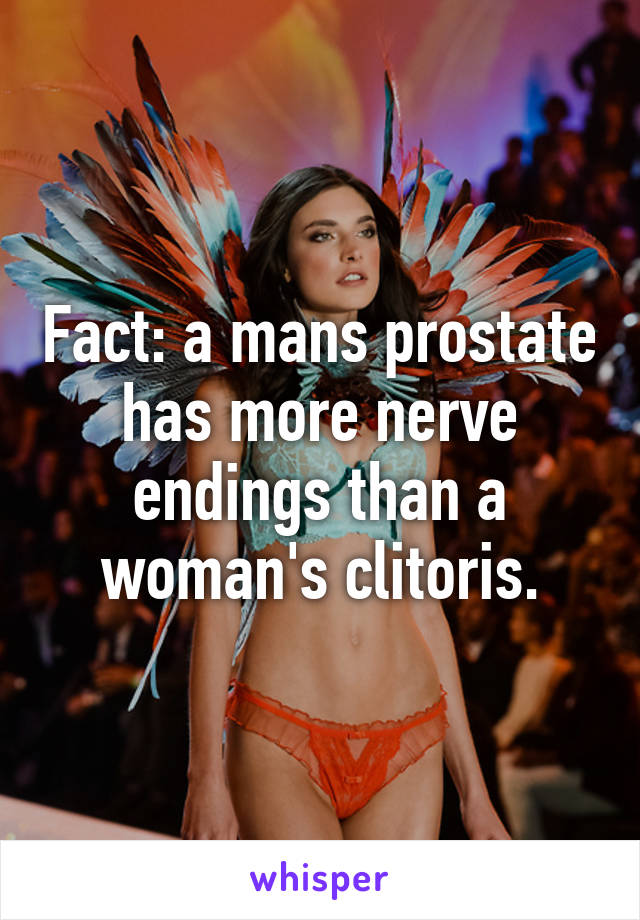 Fact: a mans prostate has more nerve endings than a woman's clitoris.