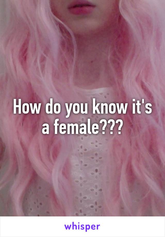 How do you know it's a female???