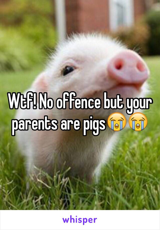 Wtf! No offence but your parents are pigs😭😭