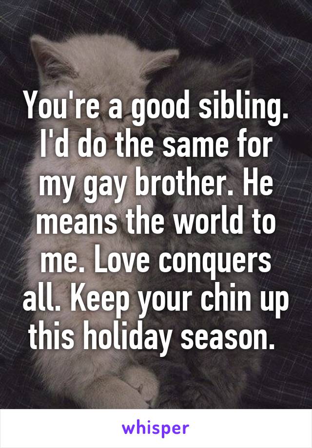 You're a good sibling. I'd do the same for my gay brother. He means the world to me. Love conquers all. Keep your chin up this holiday season. 