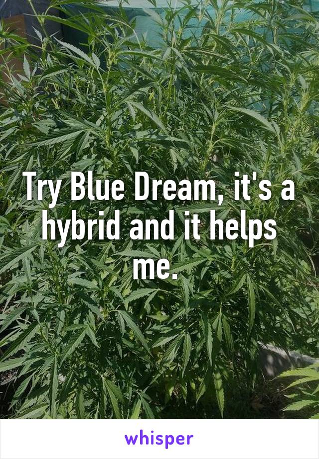 Try Blue Dream, it's a hybrid and it helps me. 