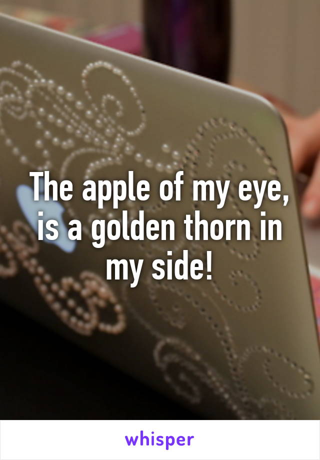 The apple of my eye, is a golden thorn in my side!