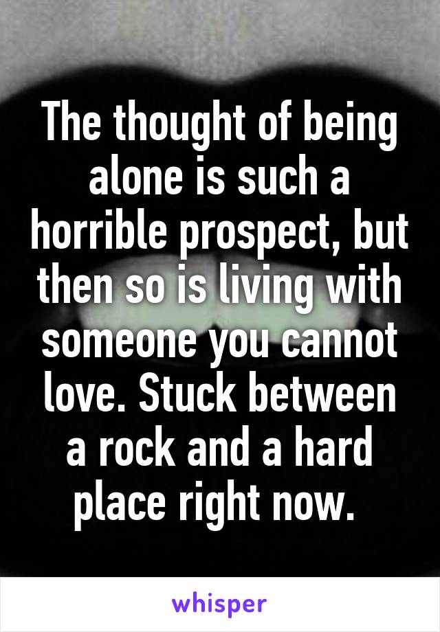 The thought of being alone is such a horrible prospect, but then so is living with someone you cannot love. Stuck between a rock and a hard place right now. 