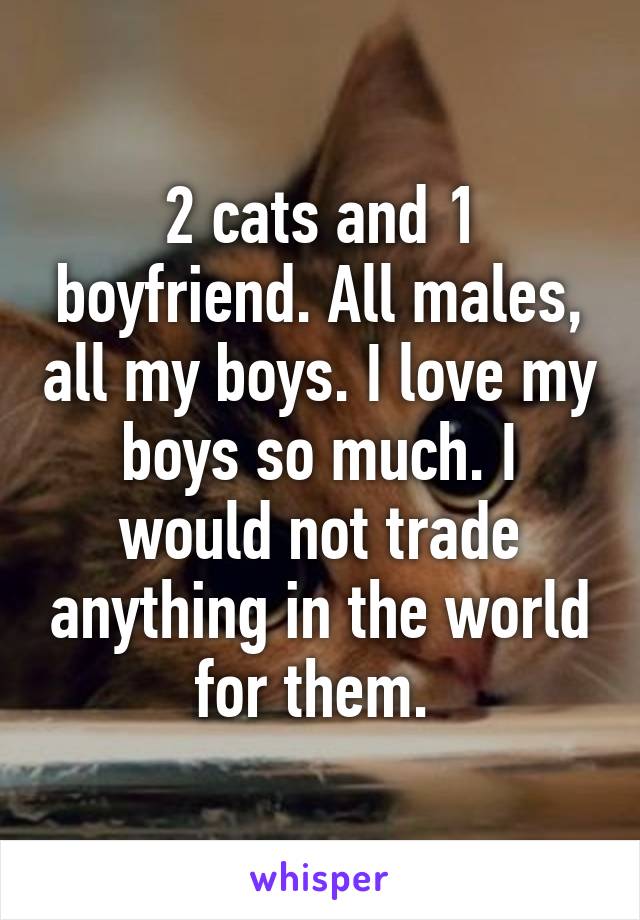 2 cats and 1 boyfriend. All males, all my boys. I love my boys so much. I would not trade anything in the world for them. 