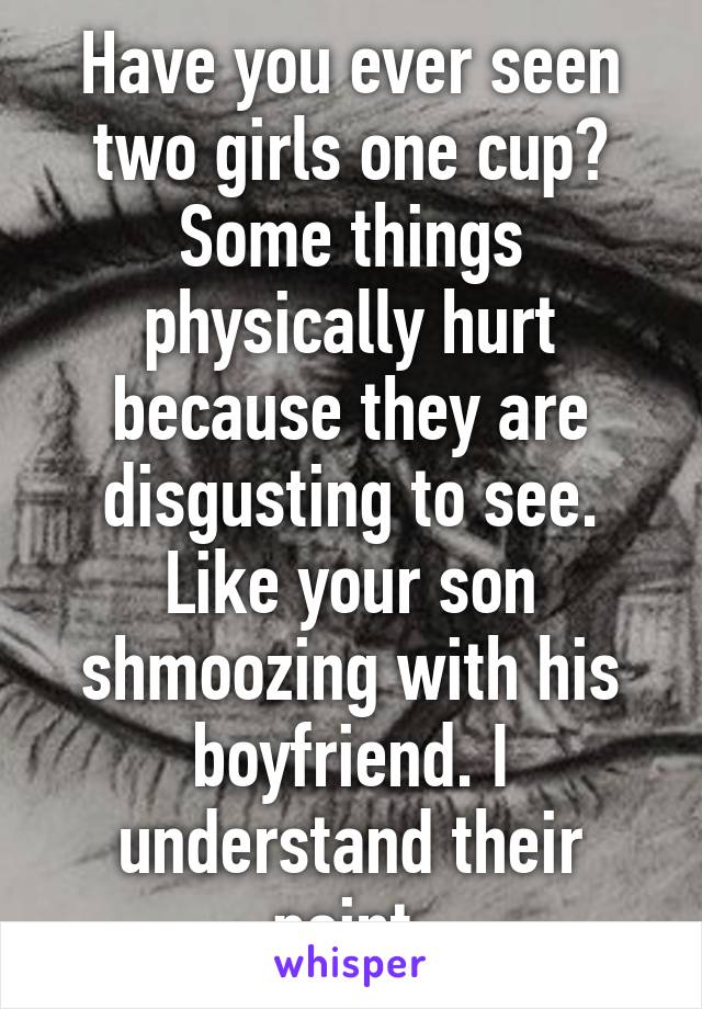 Have you ever seen two girls one cup? Some things physically hurt because they are disgusting to see. Like your son shmoozing with his boyfriend. I understand their point.