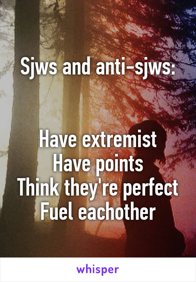 Sjws and anti-sjws:


Have extremist
Have points
Think they're perfect
Fuel eachother