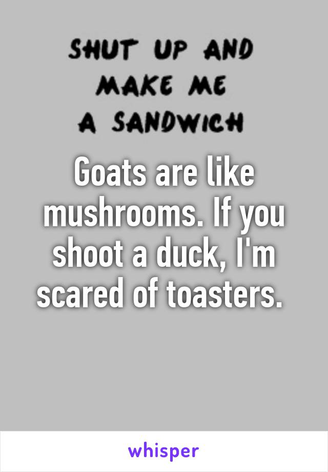 Goats are like mushrooms. If you shoot a duck, I'm scared of toasters. 