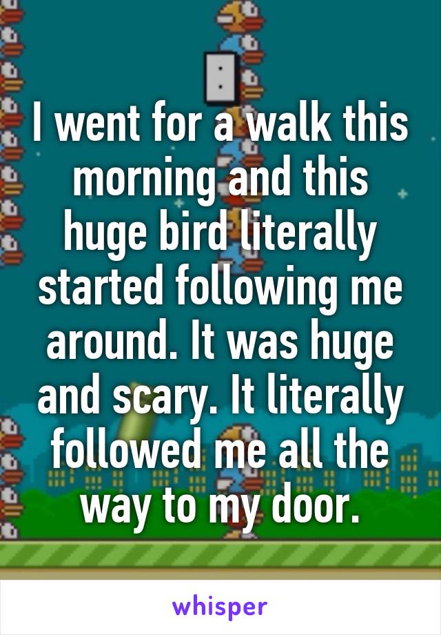 I went for a walk this morning and this huge bird literally started following me around. It was huge and scary. It literally followed me all the way to my door.