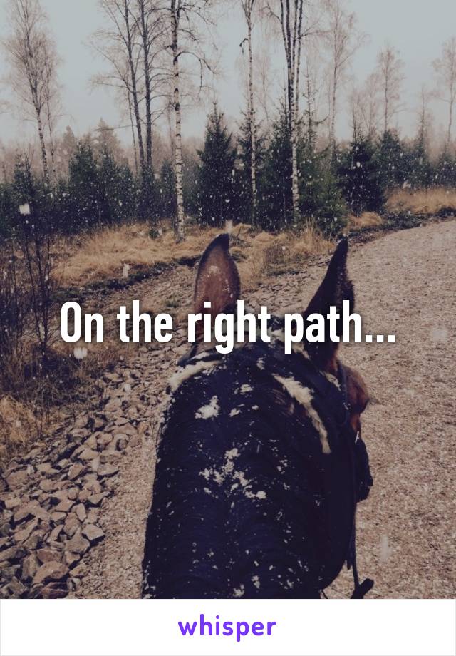 On the right path...