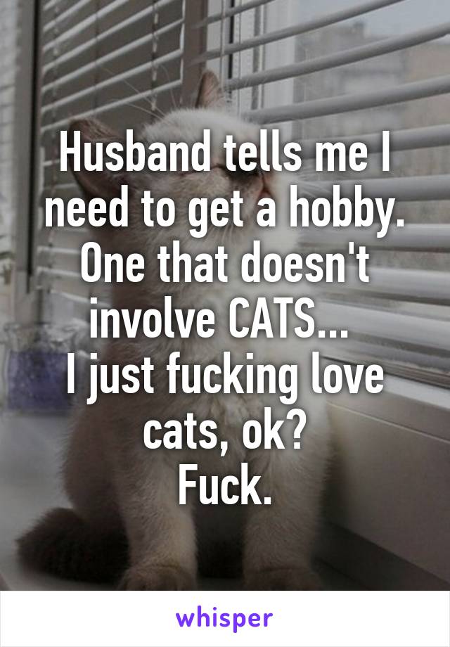 Husband tells me I need to get a hobby.
One that doesn't involve CATS... 
I just fucking love cats, ok?
Fuck.